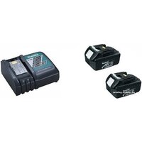 Makita DHR242RFE (с 2-мя АКБ, кейс) Image #5