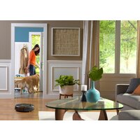 iRobot Roomba 980 Image #20