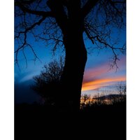 Fujifilm X-T50 Body (серый) Image #13