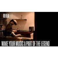 Tannoy Reveal 502 Image #15