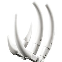 LEGO Creator 31058 Грозный динозавр Image #6