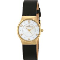 Skagen SKW2209