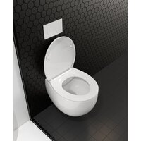 Roxen Egg в комплекте с инсталляцией StounFix Dual Fresh 6 в 1 964032 (кнопка: хром глянец) Image #10