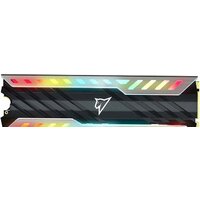 Netac NV3000 RGB 1TB NT01NV3000RGB-1T0-E4X