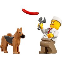 LEGO City 60134 Праздник в парке - жители LEGO CITY Image #5