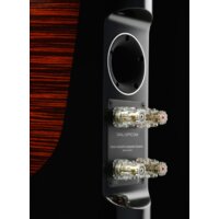 DALI Epicon 2 Image #8