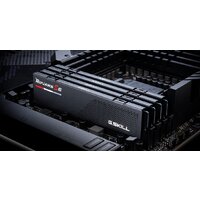 G.Skill Ripjaws S5 2x24ГБ DDR5 6400 МГц F5-6400J3239F24GX2-RS5K Image #6