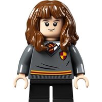 LEGO Harry Potter 76382 Учеба в Хогвартсе: Урок трансфигурации Image #10