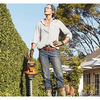 STIHL HSA 56 (с AK 10 и AL 101) Image #3