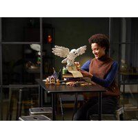 LEGO Harry Potter 76391 Символы Хогвартса: коллекционное издание Image #24