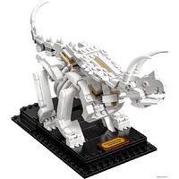 LEGO Ideas 21320 Кости динозавра Image #4