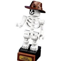 LEGO Ideas 21320 Кости динозавра Image #8