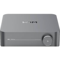 WiiM Amp (серый)