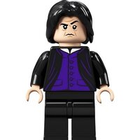 LEGO Harry Potter 76383 Учёба в Хогвартсе: Урок зельеварения Image #4