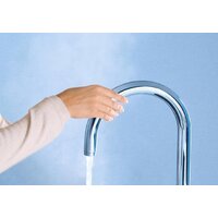 Grohe Red Duo 30079001 (хром) Image #30