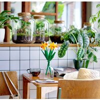 LEGO Creator Expert 40646 Нарциссы Image #4