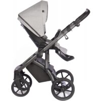 ROAN Bloom (2 в 1, silver chevron) Image #2