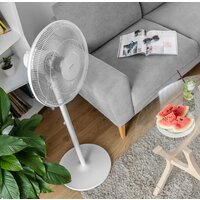 Sencor SFN 4060WH Image #10