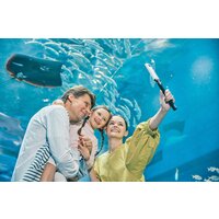 Ricoh Theta SC2 (белый) Image #7