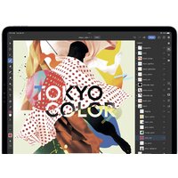 Apple iPad Pro 12.9" 2022 2TB MNXY3 (серый космос) Image #9
