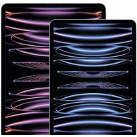 Apple iPad Pro 12.9" 2022 2TB MNXY3 (серый космос) Image #4