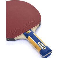 Atemi Pro 1000 AN Image #2