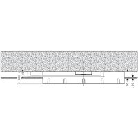 Hansgrohe Raindance Rainmaker 28414180 Image #2