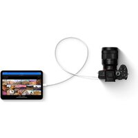 Apple iPad mini 2021 256GB MK7V3 (сияющая звезда) Image #4