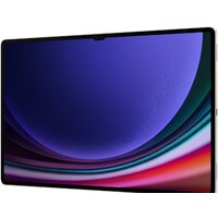 Samsung Galaxy Tab S9 Ultra 5G SM-X916 12GB/512GB (кремовый) Image #15