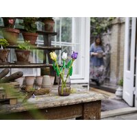 LEGO Creator Expert 40461 Тюльпаны Image #6