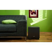 Martin Logan Dynamo 700w Image #8