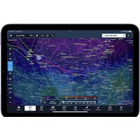 Apple iPad mini 2021 256GB MK7X3 (фиолетовый) Image #5