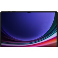 Samsung Galaxy Tab S9 Ultra 5G SM-X916 16GB/1TB (графитовый) Image #2