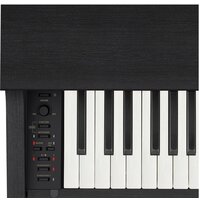 Casio Celviano AP-270 (черный) Image #4