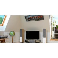 DALI Oberon 7 Light Oak Image #5