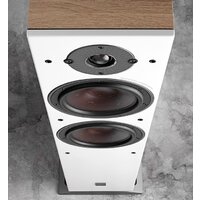 DALI Oberon 7 Light Oak Image #4