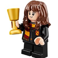 LEGO Harry Potter 75964 Новогодний календарь Harry Potter Image #10