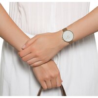Skagen SKW2137 Image #11