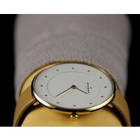 Skagen SKW2137 Image #18