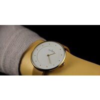 Skagen SKW2137 Image #19
