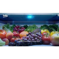 BEKO BCNA306E4ZSN Image #9