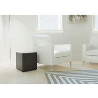 Martin Logan Logan Dynamo 500 Image #6