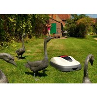 Honda Miimo HRM 520 Image #7