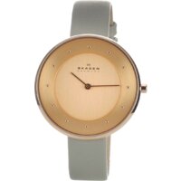 Skagen SKW2139