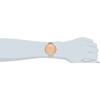 Skagen SKW2139 Image #9