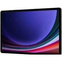 Samsung Galaxy Tab S9+ 5G SM-X816 12GB/512GB (графитовый) Image #7