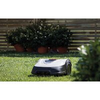 Honda Miimo HRM 40 Image #7