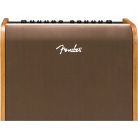 Fender Acoustic 100