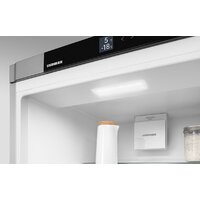 Liebherr CNsfd 5204 Pure Image #14