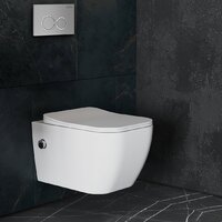 Roxen Cube Bidet One Rimless 6 в 1 StounFix Dual Fresh 533185 (кнопка: матовая) Image #13